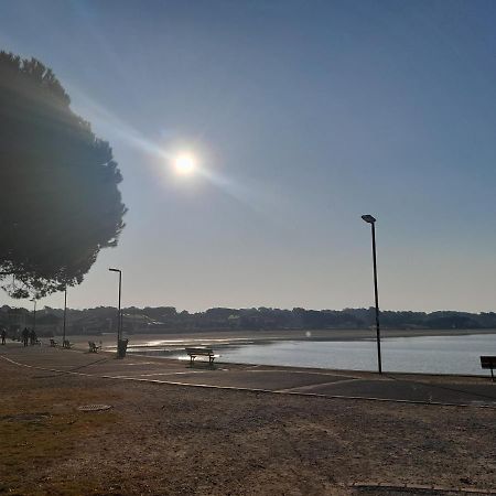 Le 322 Entre Lac Et Ocean Vieux-Boucau-les-Bains Buitenkant foto