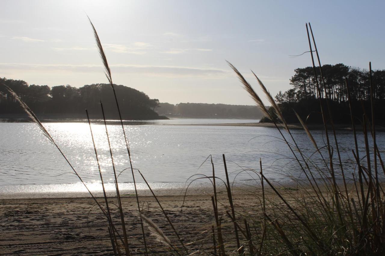 Le 322 Entre Lac Et Ocean Vieux-Boucau-les-Bains Buitenkant foto